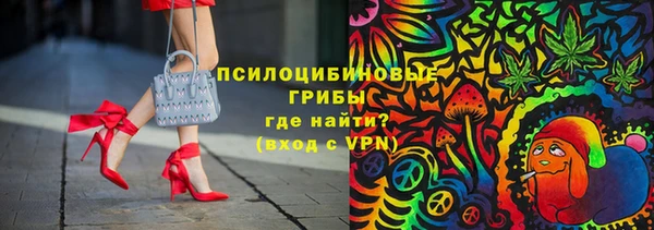 прущие грибы Белоозёрский