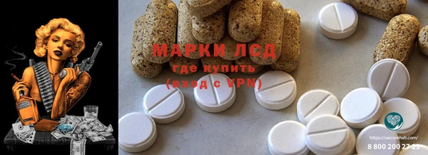 прущие грибы Белоозёрский